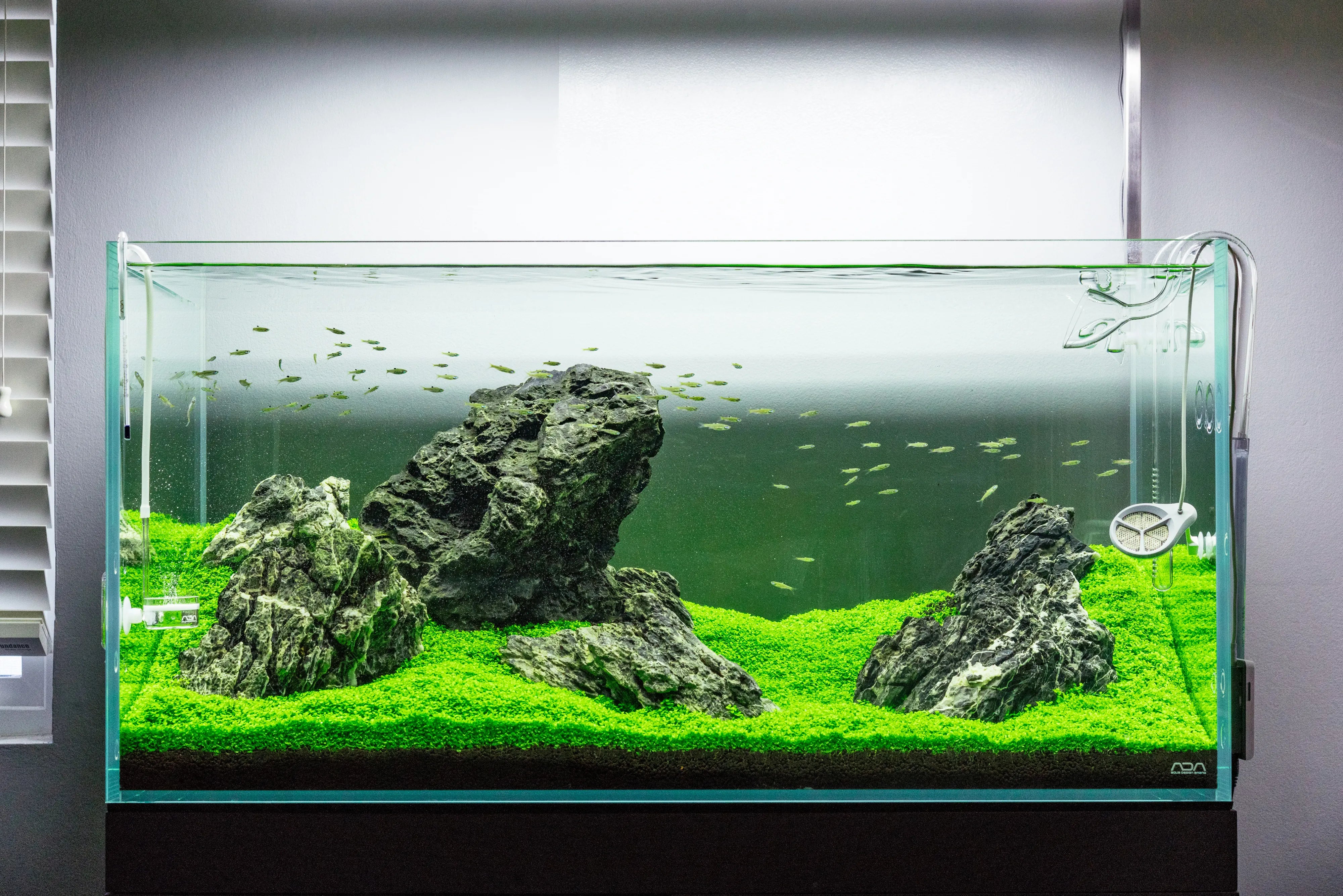 glass plant water bulbs Glass Self Watering Bulbs, with Cute Clear Design, for Indoor, Hanging   GizModern