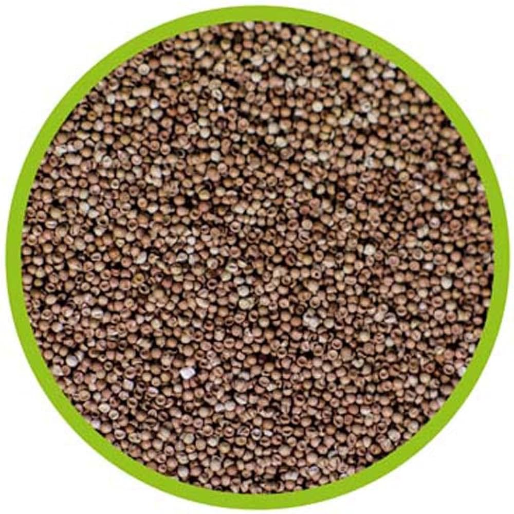 Dupla/Hobby Artemia Brine Shrimp Eggs 20g