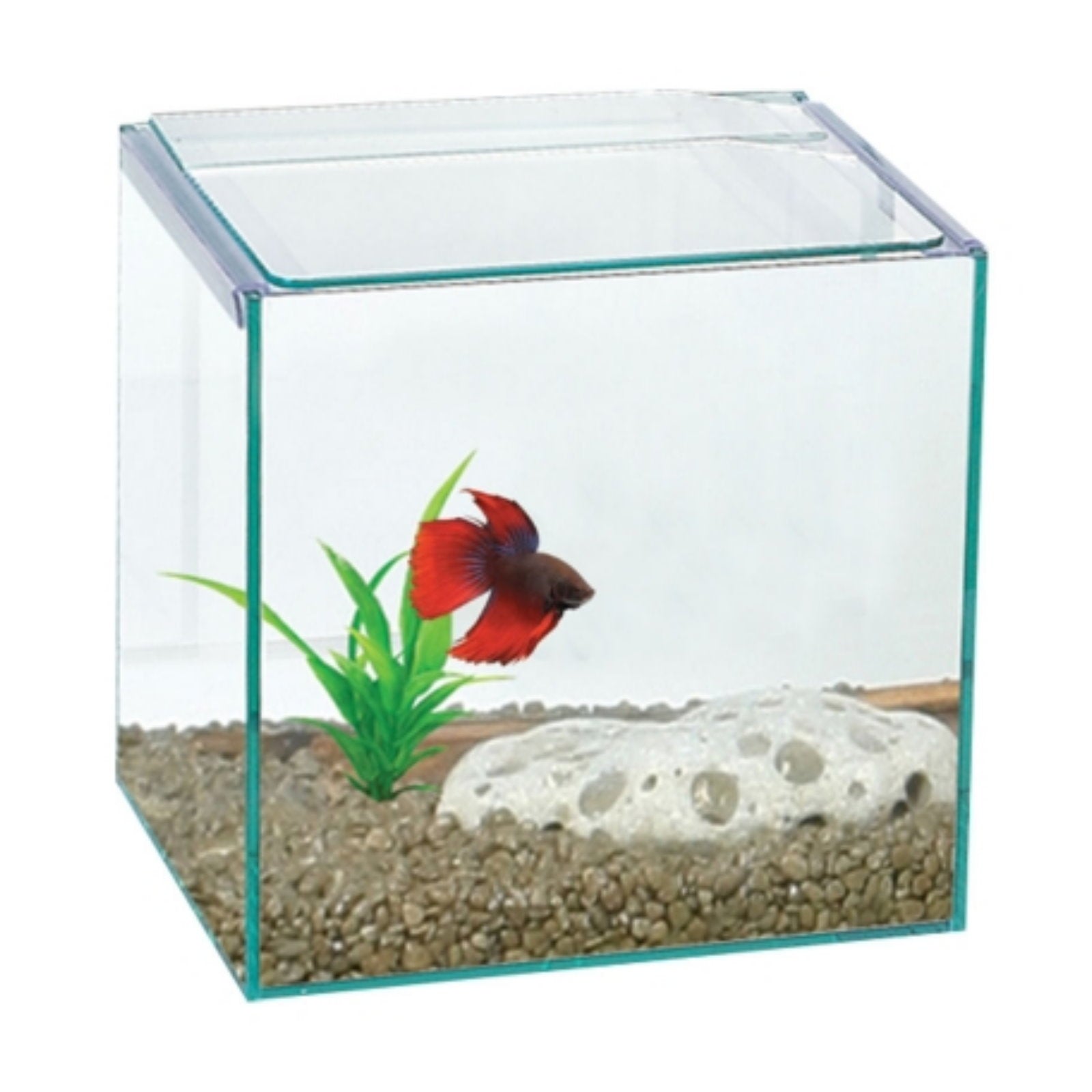 Aqua One Betta Cube Glass Tank 16x16x16cm – Aquarium Gallery