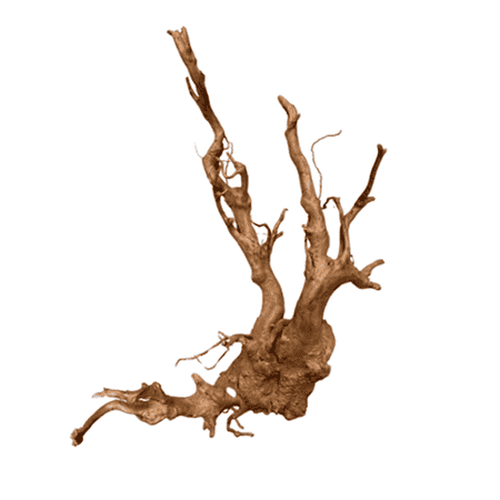 Dymax Tweety Wood XL