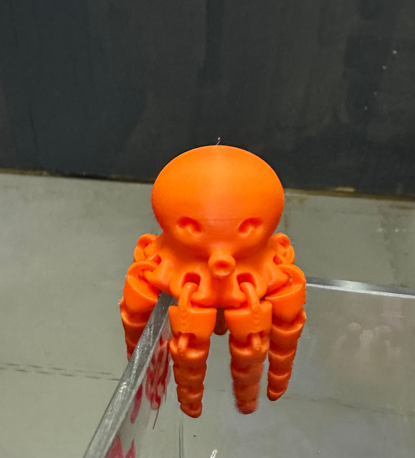 Collectable - Octopus