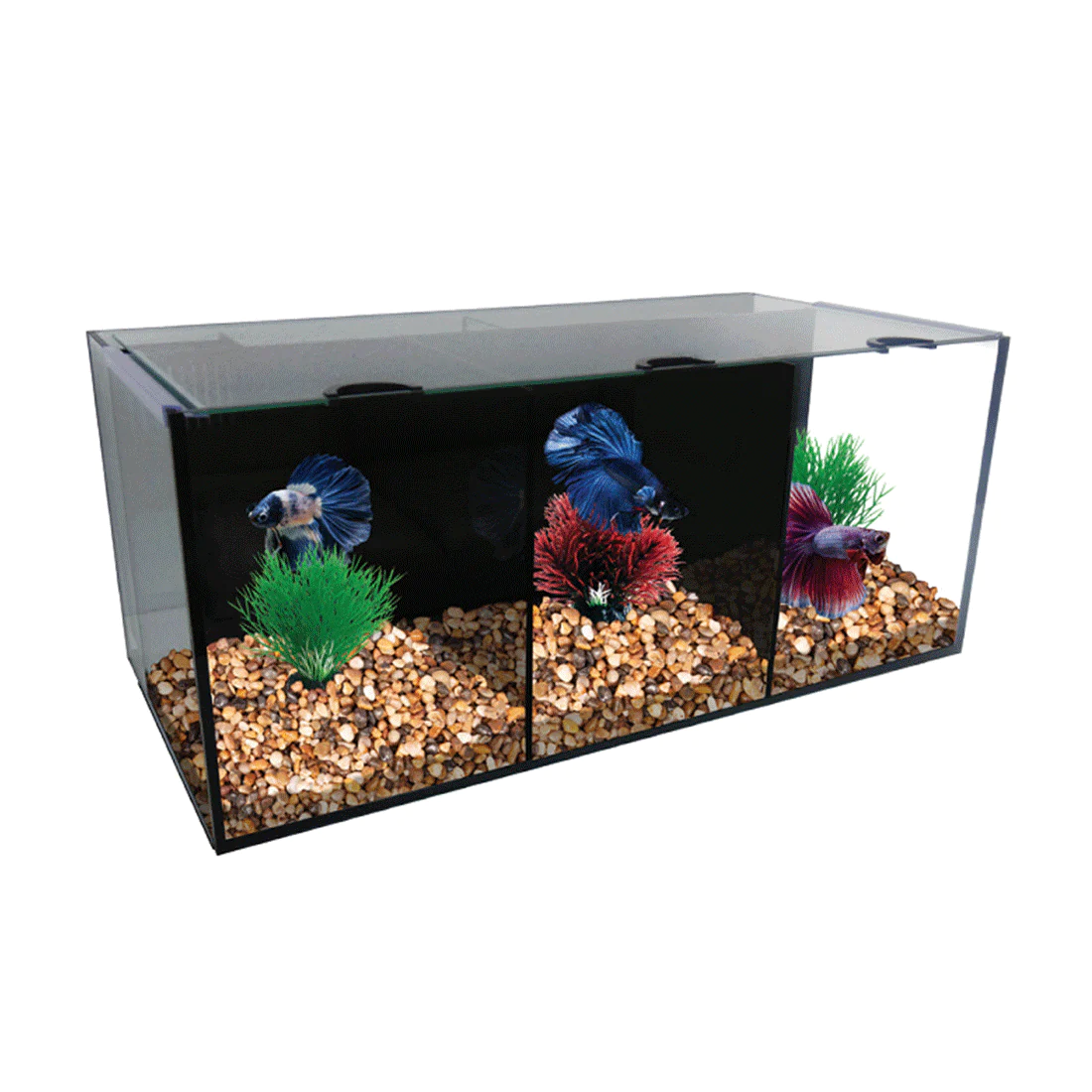 Aqua One Betta Condo Trio