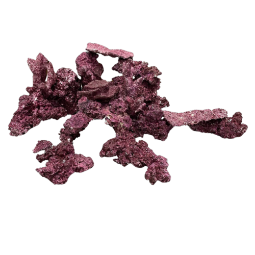 Real Reef Rock RUBBLE (Marine & African Cichlids ONLY) - 1kg bag