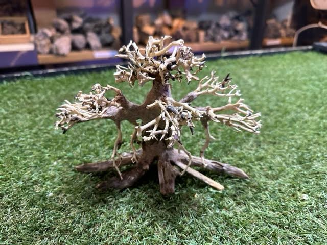 Bonsai Driftwood