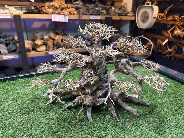 Bonsai Driftwood