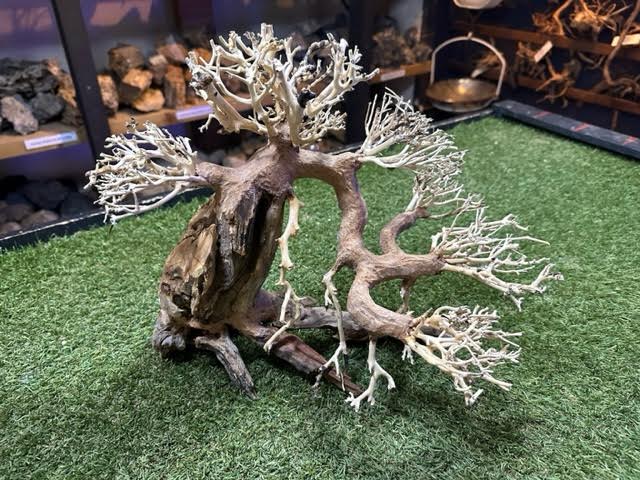 Bonsai Driftwood