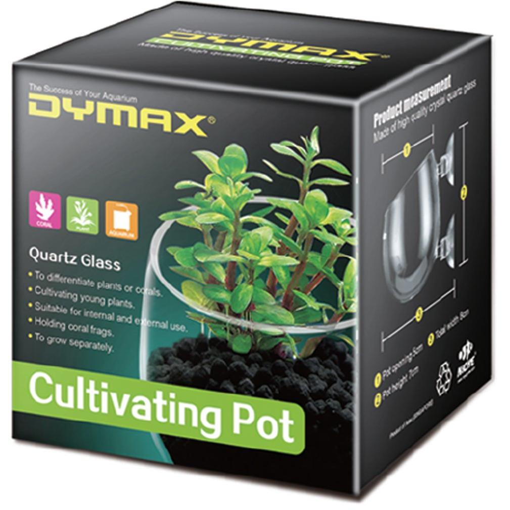 Dymax Crystal Cultivating Pot