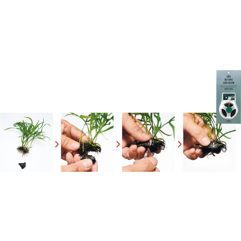 ADA Wood Tight (10M)