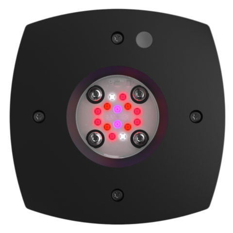 AI - Prime Fuge 16HD