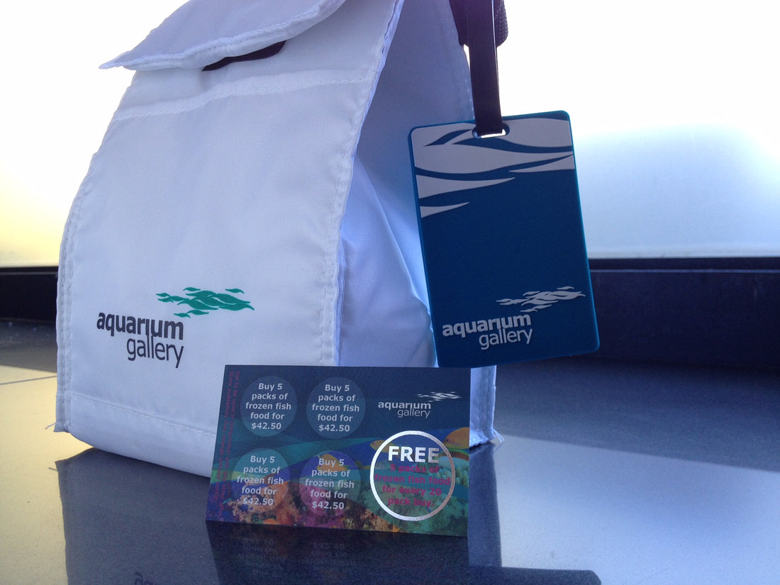 Frozen fish food in a trendy cooler bag with a promotion card