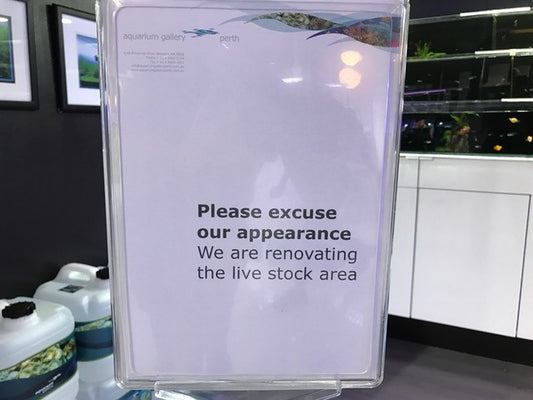 Please excuse us for the appearance for few days...