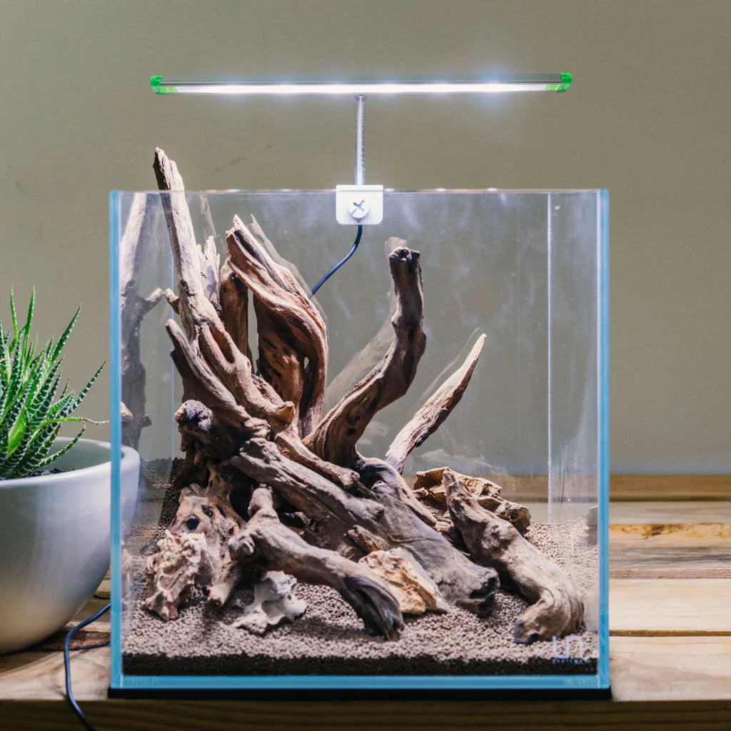 Freshwater Rocks and Wood
