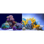 SeaView Aquarium Background - Double Sided
