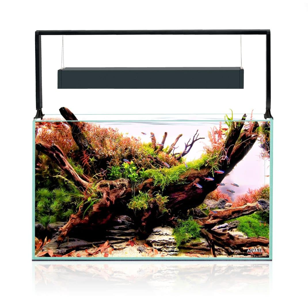 Aquael Ultrascape 60 Aquarium