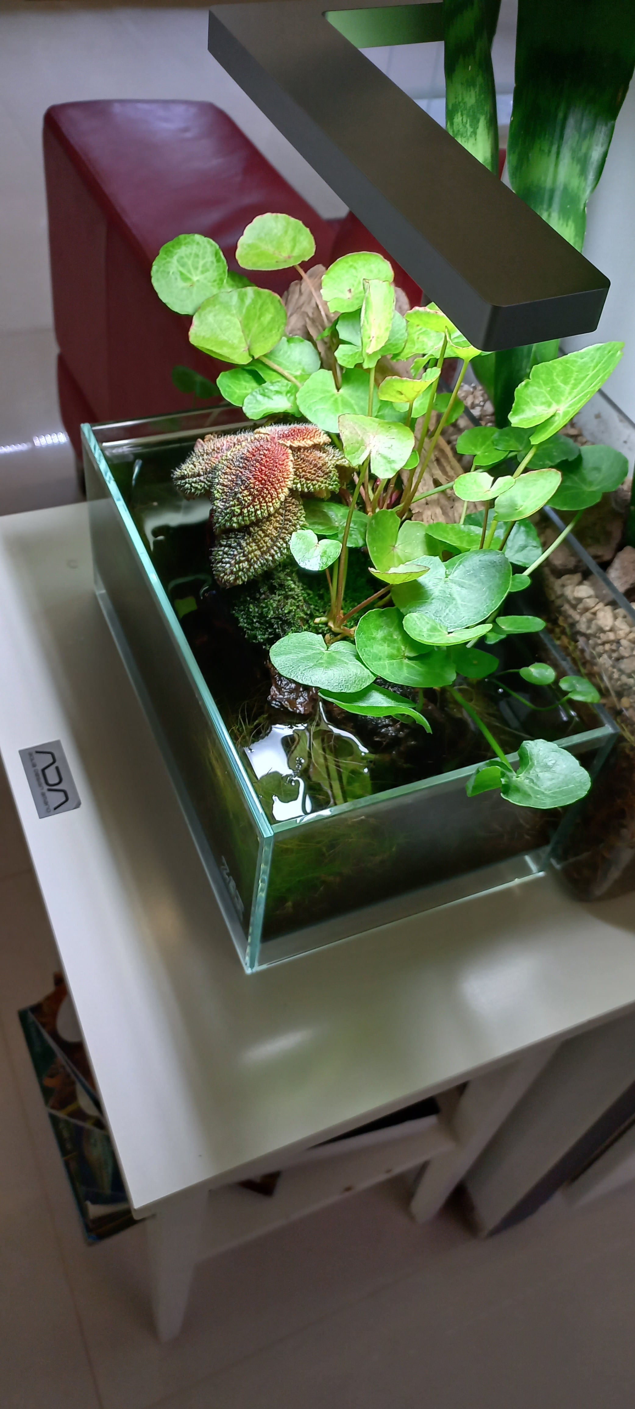 Complete Tank Displays For Sale – Aquarium Gallery