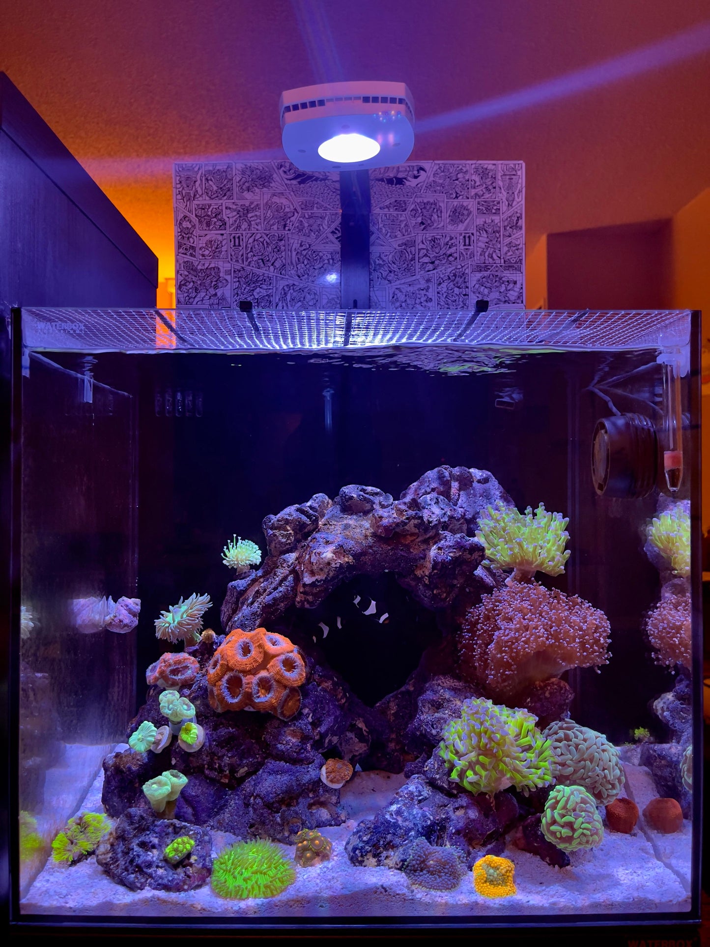 Waterbox Cube AIO Mini (Nano tank series)