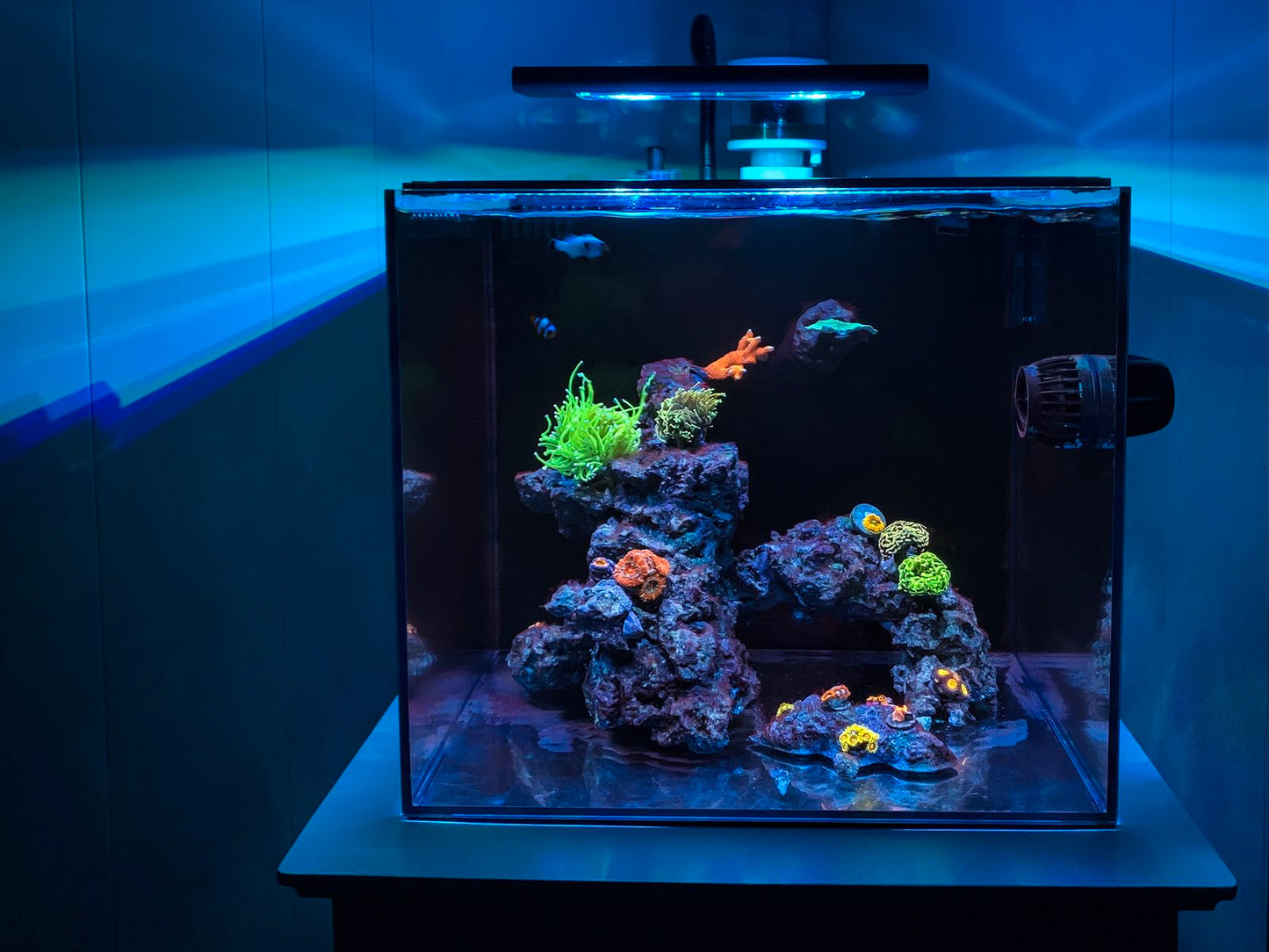 Waterbox Cube AIO Mini (Nano tank series)