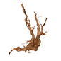 Dymax Tweety Wood XL