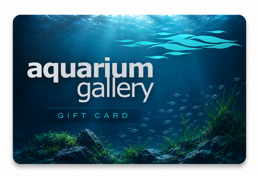 Gift Voucher