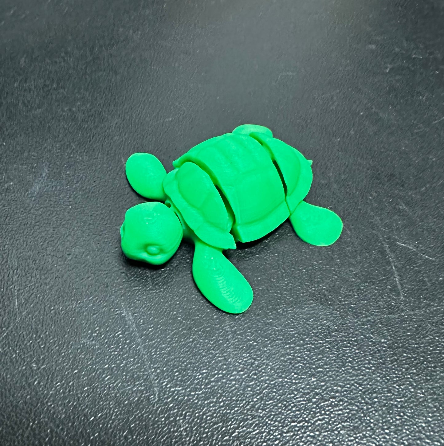 Collectable - Turtle