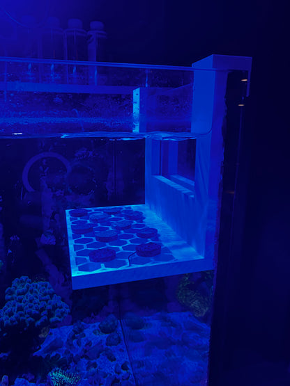 Frag Display Holder