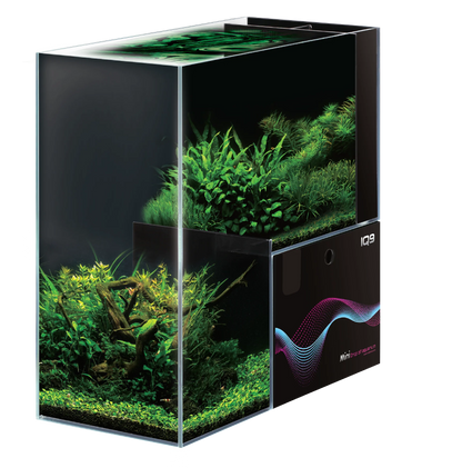 Dymax IQ9 Mini Drop Off Tank -  various