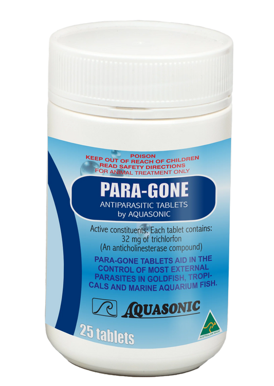 Aquasonic Paragone