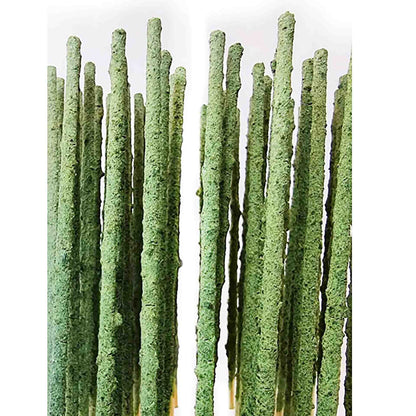 SAS Shrimp Food - Shrimp Pops