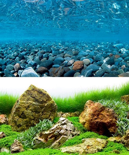 SeaView Aquarium Background - Double Sided