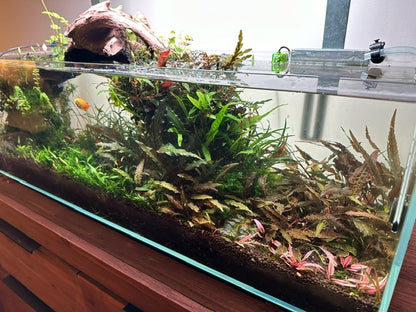 Aqua One OptiClear Low Profile / Bookshelf Aquarium