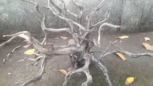 Indonesian Forest Wood - Black