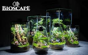 Bioscape Nano Moss Terrarium
