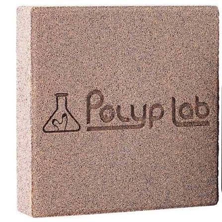 Polyp Lab Genesis Rock