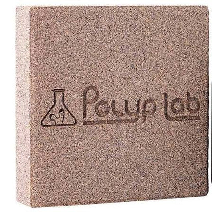 Polyp Lab Genesis Rock