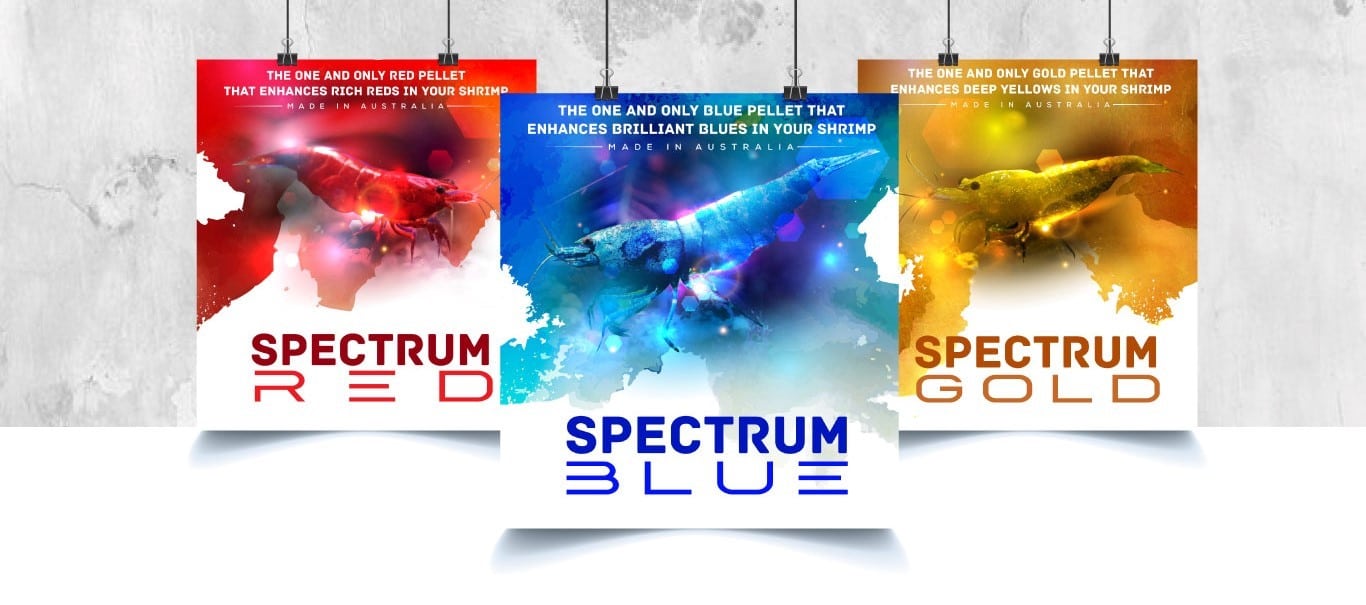 SAS Shrimp Food - Spectrum Premium Pellets – Aquarium Gallery