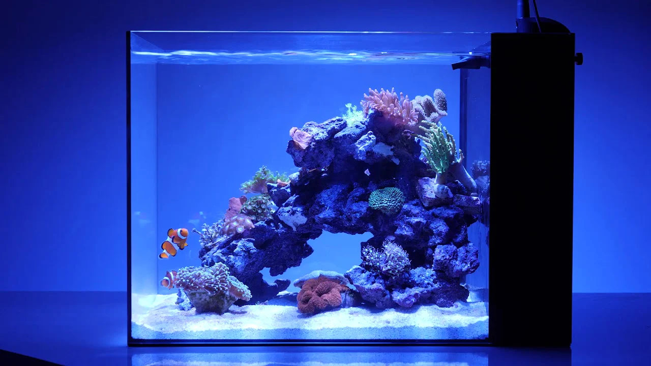 Waterbox Cube AIO Mini (Nano tank series)