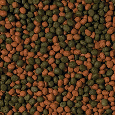 Tropical Cichlid Carnivore Pellets