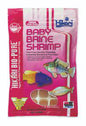 Hikari BioPure Frozen Food - various selection (IN STORE AND PICK UP ONLY)