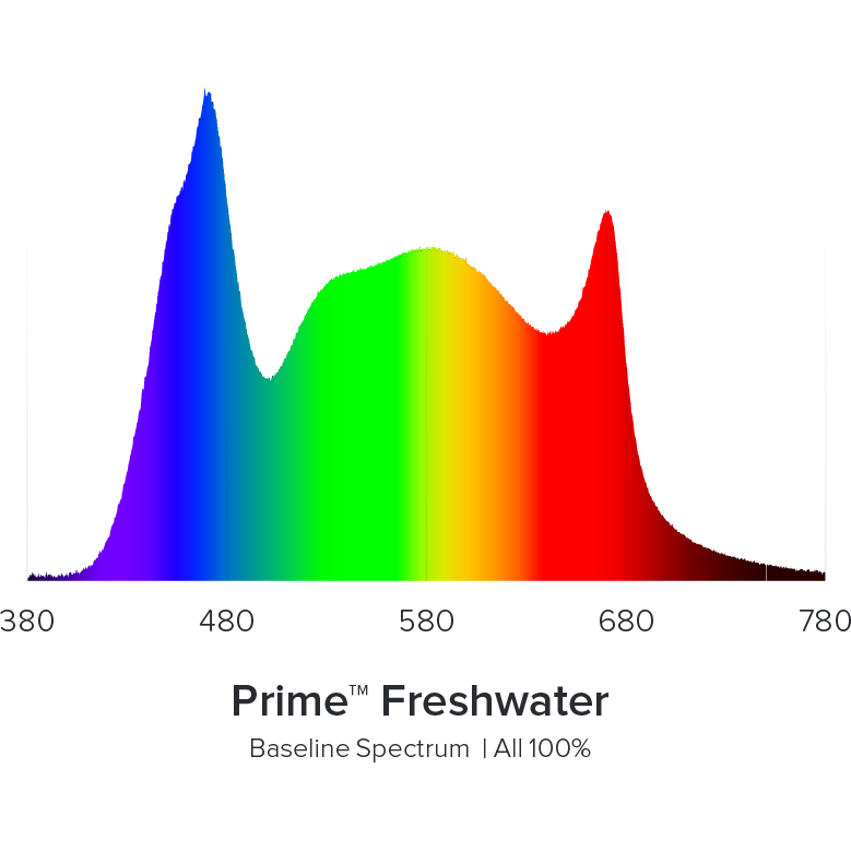 AI  - Prime Freshwater 16HD