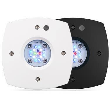 AI  - Prime Freshwater 16HD