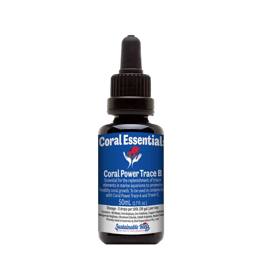 Coral Essentials CP Trace B