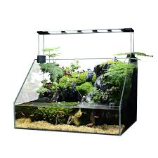 FireAqua Paludarium