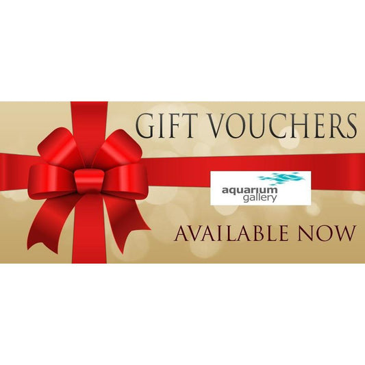 Gift Voucher